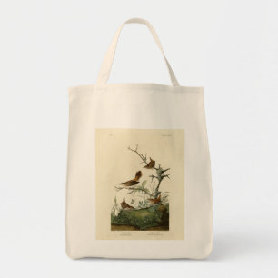 Tote Bag Winter Wren, Rock Wren, Audubon's Birds of America