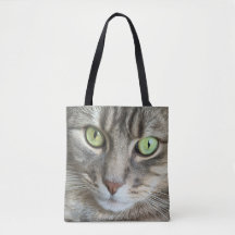 Yeux d'émeraude – Portrait d'un chat aux yeux vert