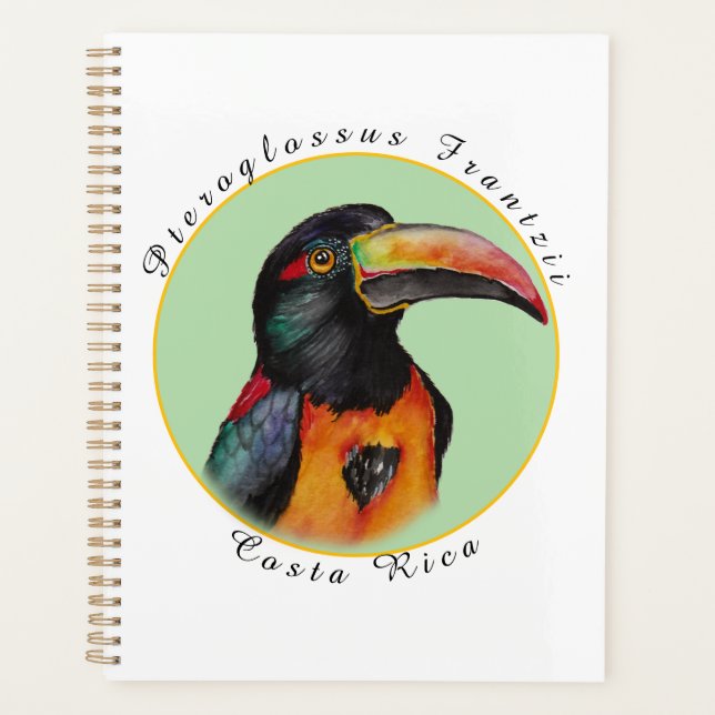 Toucan aquarelle (Devant)