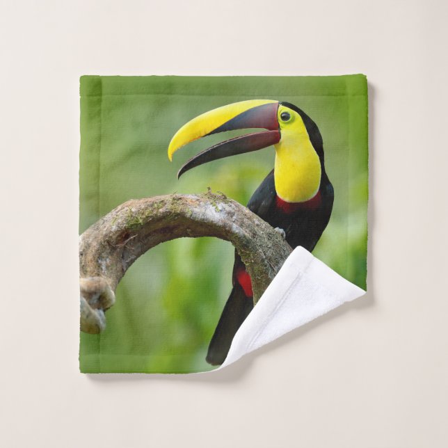 Toucan assis sur la branche dans la forêt (Gant de toilette)