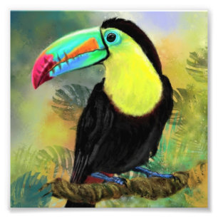 Toucan Bird Photo Imprimer Toco Peinture Cadeau