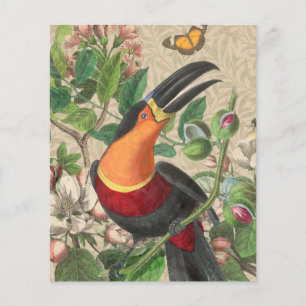 Toucan Jungle Oiseau Tropical Belle Antiquité