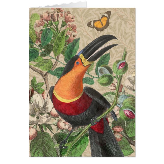Toucan Jungle Tropical Bird Belle antique (Devant)