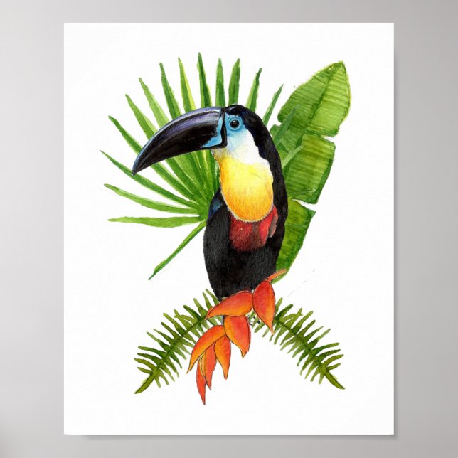 Toucan tropical bird watercolor Poster (Devant)