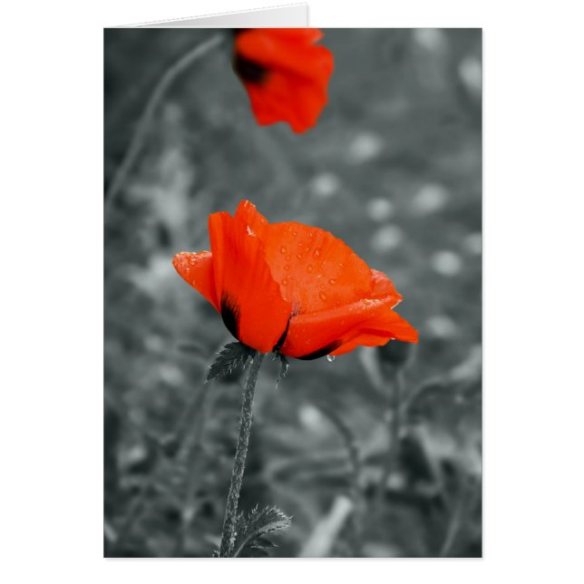 Touche de couleur - Carte à puce (Devant)