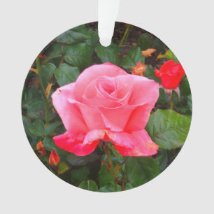 Touche du Rose de classe #1 Ornament