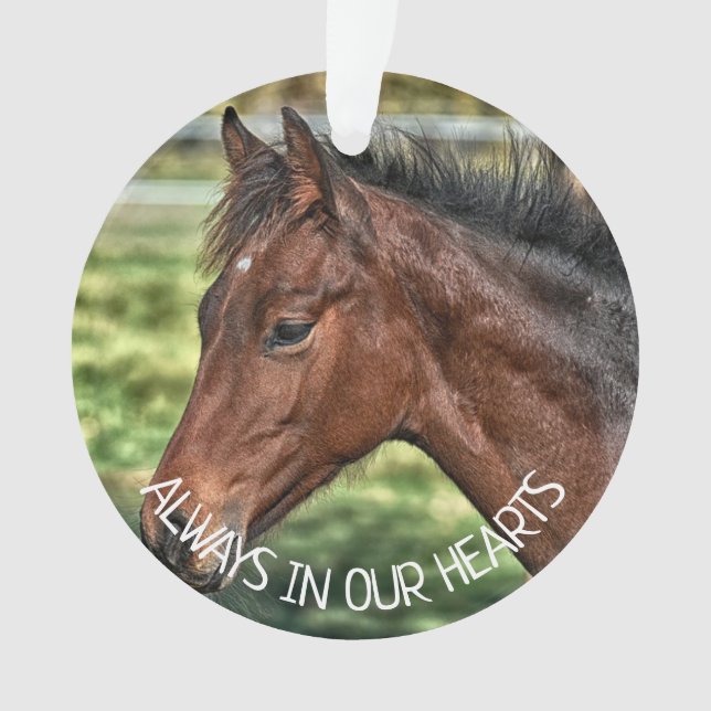 Toujours dans nos coeurs, Cheval Souvenir (devant)