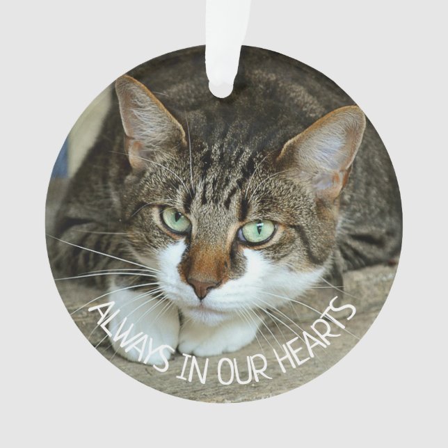 Toujours dans nos Cœurs, Souvenir de Chat (devant)