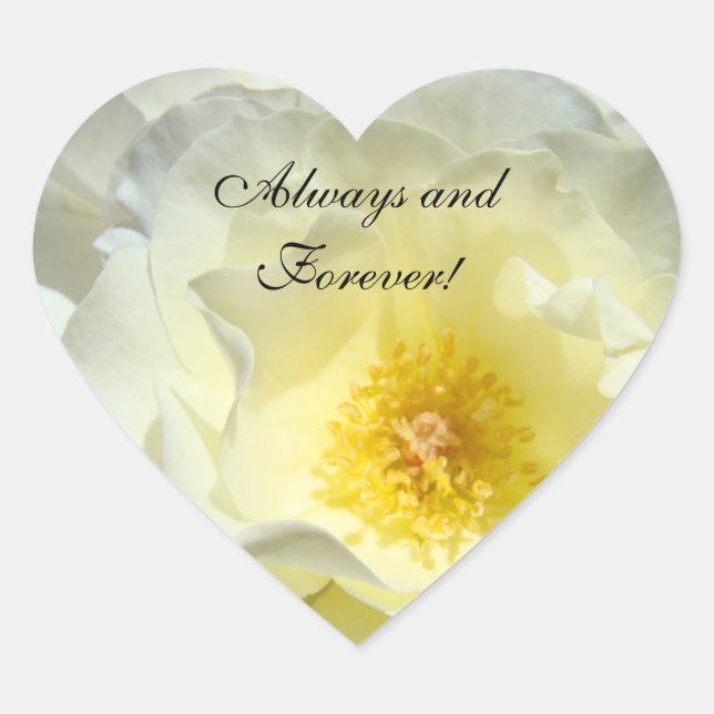 Toujours & Forever ! autocollants Rose blanche pas (Devant)