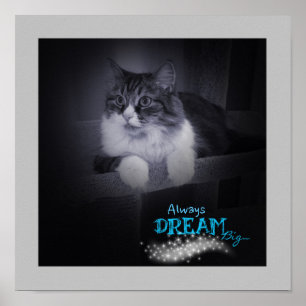 Toujours rêver grand poster