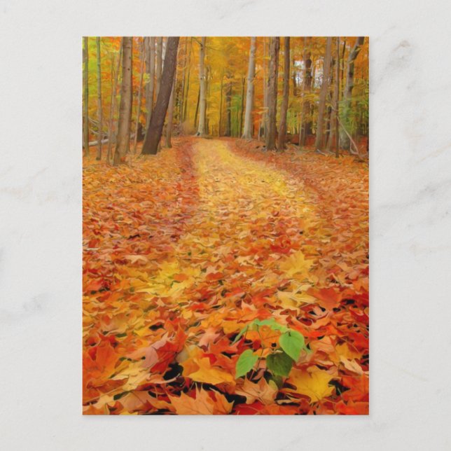 Toujours vert, cartes postales (Devant)