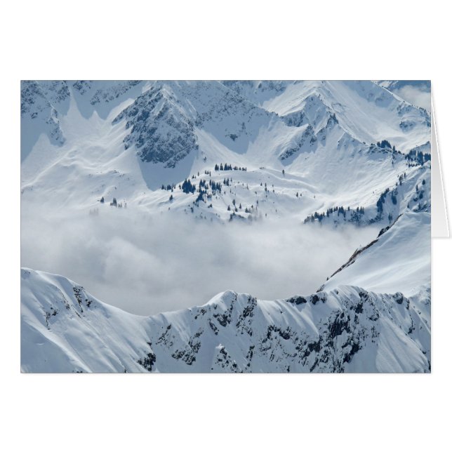 Toundra (Devant horizontal)