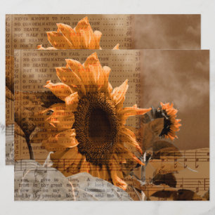 Tournedos Jaune Géant des Tournesols Hymne Musique
