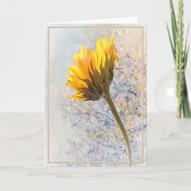Tournesol (Devant)