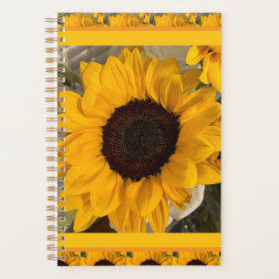 Tournesol