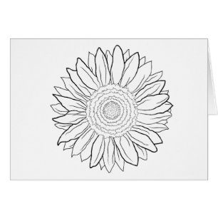 tournesol