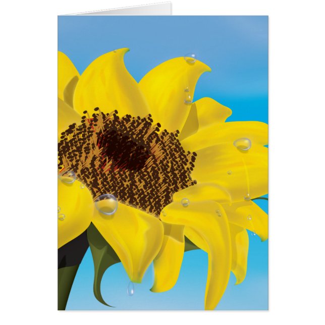 Tournesol (Devant)