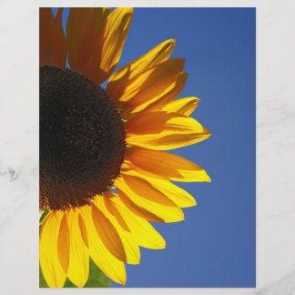 Tournesol