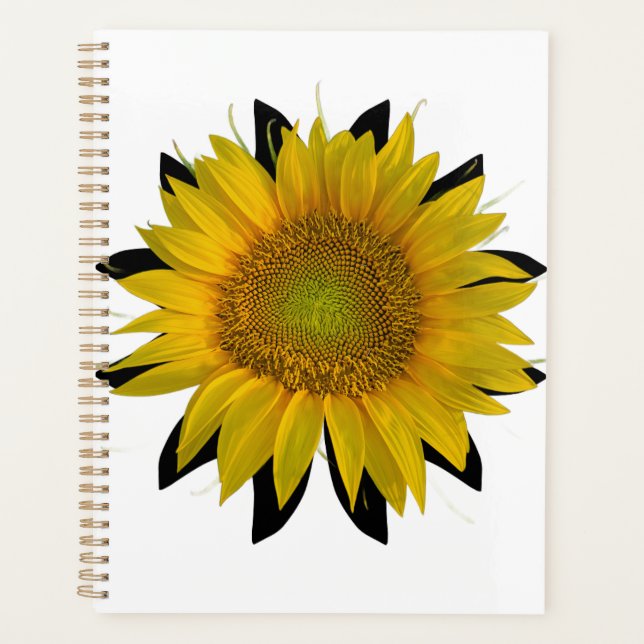 Tournesol (Devant)