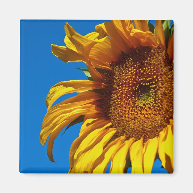 Tournesol - Aimant (Devant)