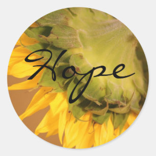 Tournesol, autocollants d'espoir