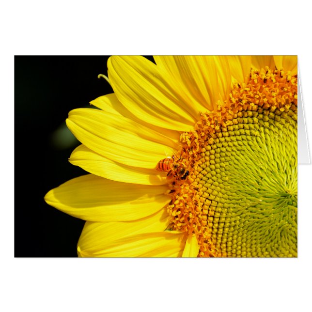 Tournesol avec la carte vierge d'abeille (Devant horizontal)