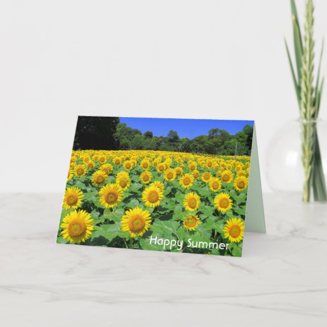 Tournesol : Carte de voeux (Devant)