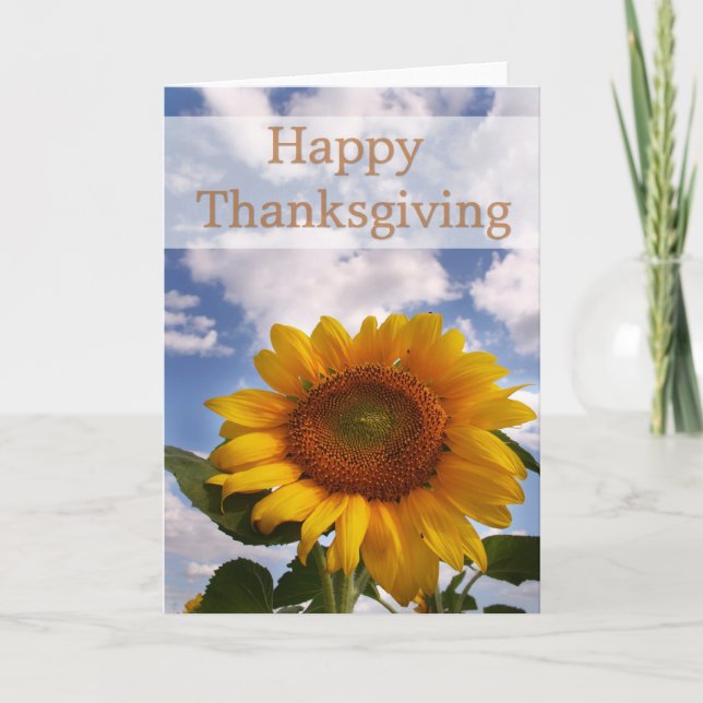 Tournesol & Ciel :: Carte Joyeux Thanksgiving (Devant)