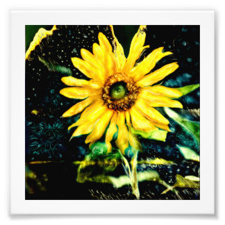 Tournesol cosmique Photo originale de slrussell