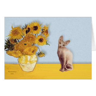 Tournesol - Crème Sphyx chat