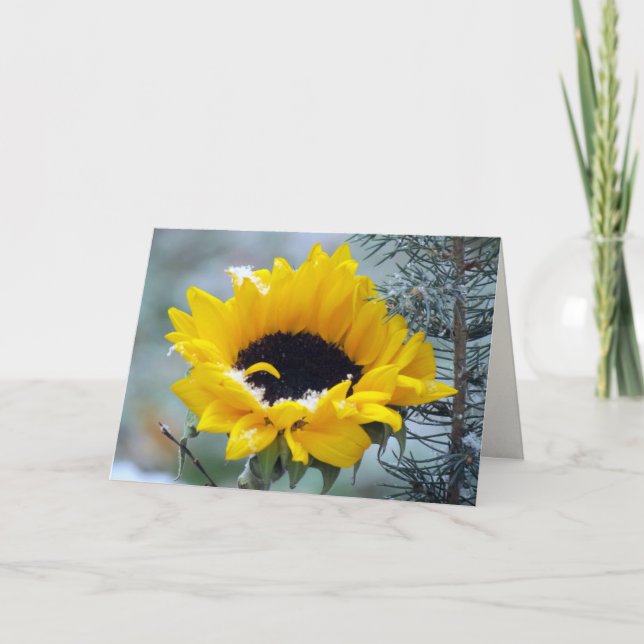 Tournesol dans la neige obtenir carte de puits (Devant)