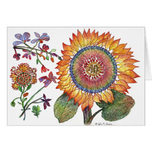 Tournesol de petit matin