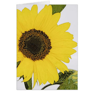 Tournesol de rosée de matin
