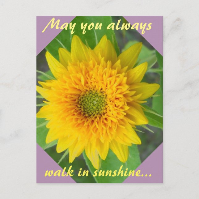 Tournesol diamant avec carte postale de message in (Devant)