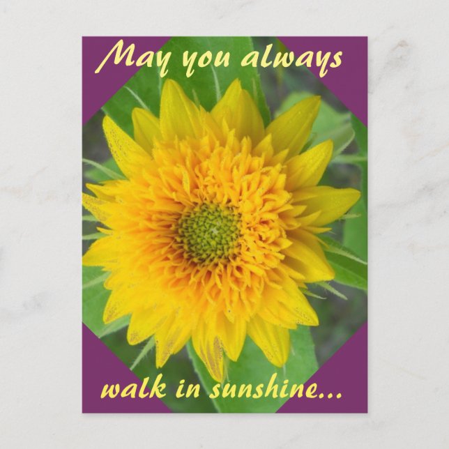 Tournesol diamant avec carte postale de message in (Devant)