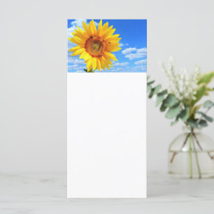 Tournesol et Abeilles sur Menu Ciel Bleu Été