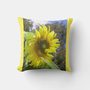 Tournesol et Coussin d'abeille