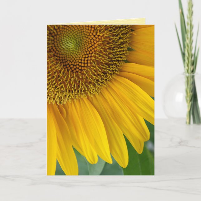 "tournesol" GREETING CARTE (Devant)
