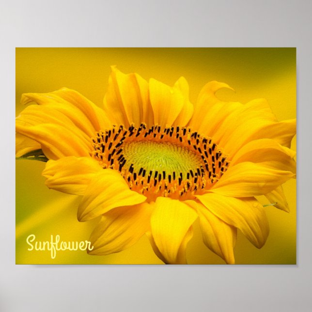 Tournesol Jaune Clair Art Mural Mat (Devant)