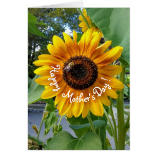Tournesol jaune ensoleillé avec abeille pour la fê