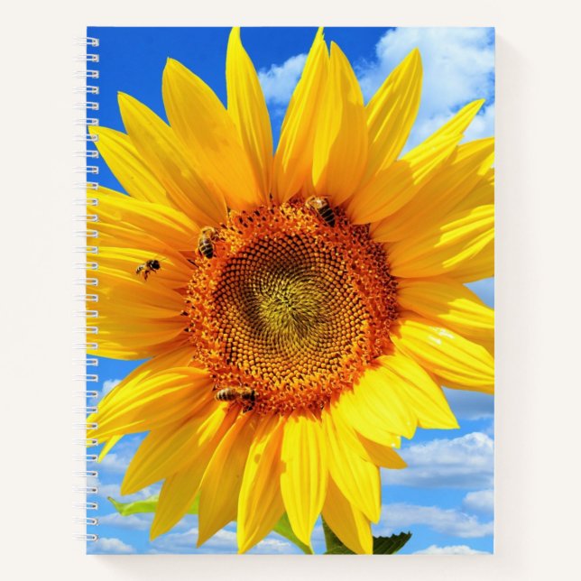 Tournesol jaune et abeilles sur le Carnet Blue Sky (Devant)
