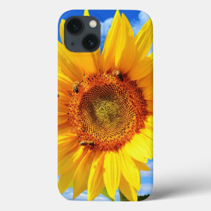 Tournesol jaune et abeilles sur le ciel bleu coque