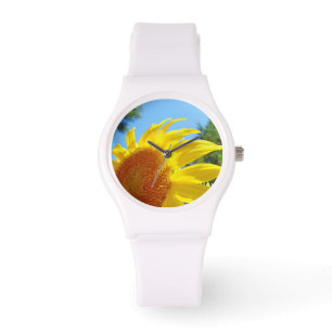 Tournesol jaune vif montre le soleil brillant