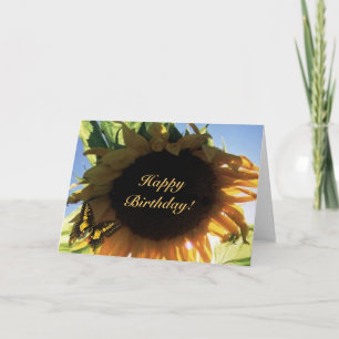Tournesol, Joyeux anniversaire ! Carte