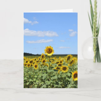 Tournesol le plus haut - Carte de voeux inspirante