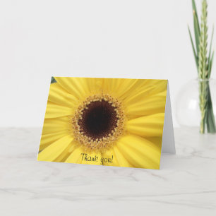 Tournesol Merci