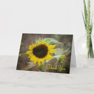 Tournesol Merci