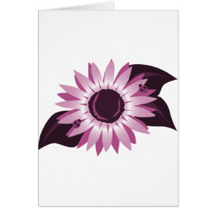 Tournesol rose avec des coccinelles
