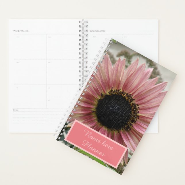 Tournesol rose pâle Personnalisé (Devant avec enveloppe)