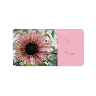 Tournesol rose pâle Présent Balise Étiquette